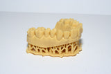 FUNTODO DENTIFIX-3D HR 1L SABLE (modèle dentaire), Résine, FUNTODO, 3D-Expert.fr - 3Dexpert 3D EXPERT 3D-Expert.fr Uniz SLASH+ SLASH