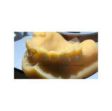 BLUECAST Dental Model DLP / LCD 1Kg, Résine, BLUECAST, 3D-Expert.fr - 3Dexpert 3D EXPERT 3D-Expert.fr Uniz SLASH+ SLASH