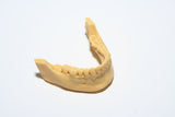 FUNTODO DENTIFIX-3D HR 1L SABLE (modèle dentaire), Résine, FUNTODO, 3D-Expert.fr - 3Dexpert 3D EXPERT 3D-Expert.fr Uniz SLASH+ SLASH